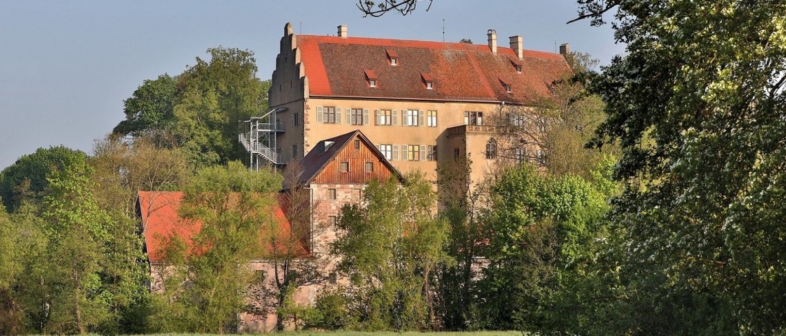 Ein Schloss mit Treppengiebel umgeben von Bäumen im Abendlicht, davor sind Nebengebäude zu erkennen.